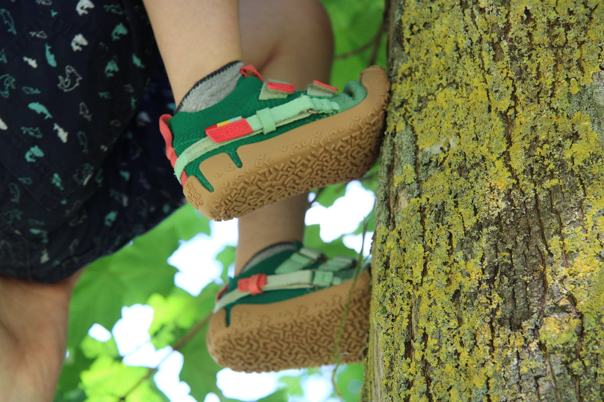 Kind klettert auf einen Baum in Sizeless Sprout
